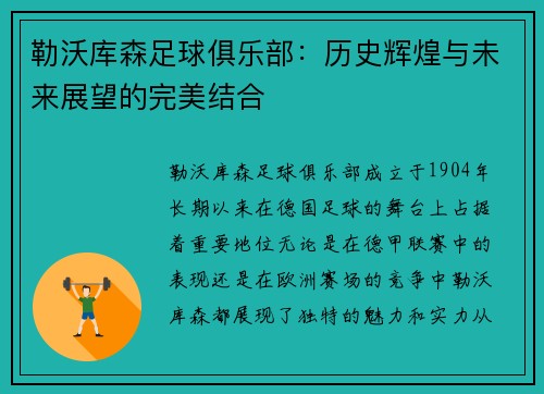 勒沃库森足球俱乐部：历史辉煌与未来展望的完美结合